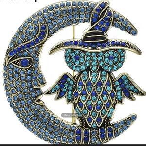Blue Crystal Moon and‎ Owl Brooch